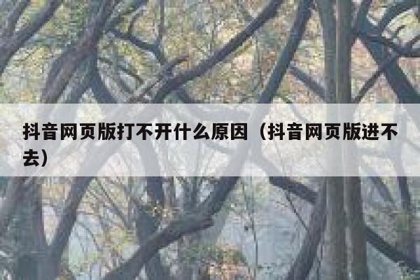 抖音网页版打不开什么原因（抖音网页版进不去） 第1张