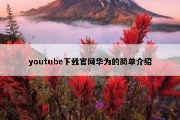 youtube下载官网华为的简单介绍 第1张
