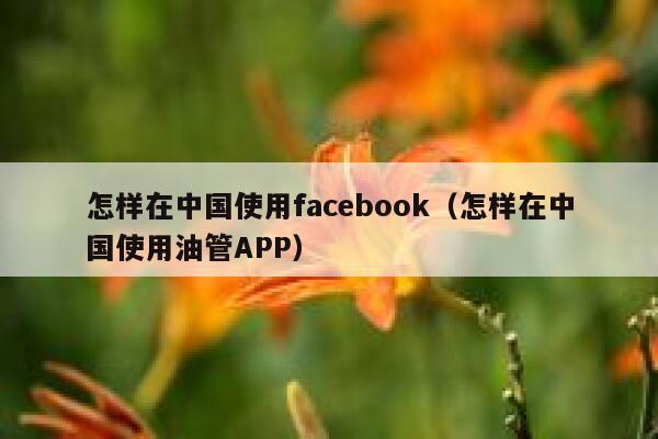 怎样在中国使用facebook（怎样在中国使用油管APP） 第1张