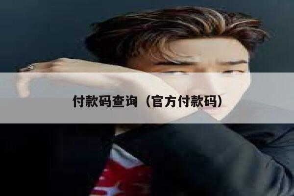 付款码查询（官方付款码） 第1张