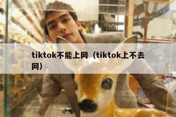 tiktok不能上网（tiktok上不去网） 第1张
