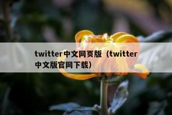 twitter中文网页版（twitter中文版官网下载） 第1张
