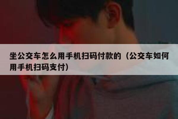 坐公交车怎么用手机扫码付款的（公交车如何用手机扫码支付） 第1张