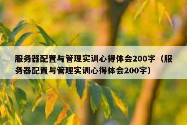 服务器配置与管理实训心得体会200字（服务器配置与管理实训心得体会200字） 第1张