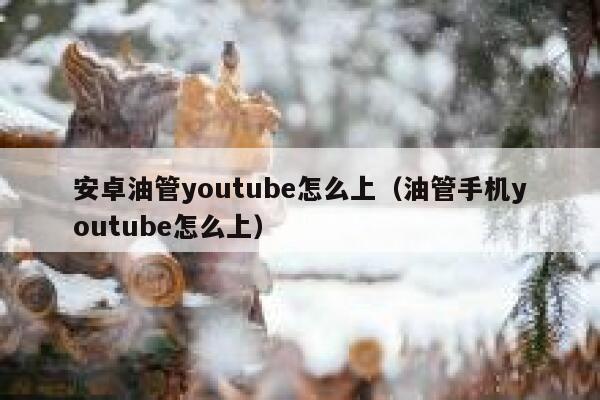 安卓油管youtube怎么上（油管手机youtube怎么上） 第1张