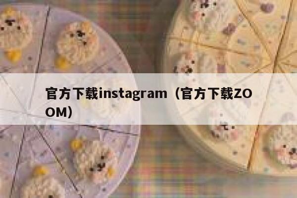 官方下载instagram（官方下载ZOOM） 第1张