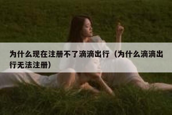 为什么现在注册不了滴滴出行（为什么滴滴出行无法注册） 第1张
