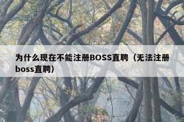 为什么现在不能注册BOSS直聘（无法注册boss直聘） 第1张