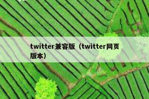 twitter兼容版(twitter网页版本) 第1张 twitter兼容版(twitter网页版本) 第1张
