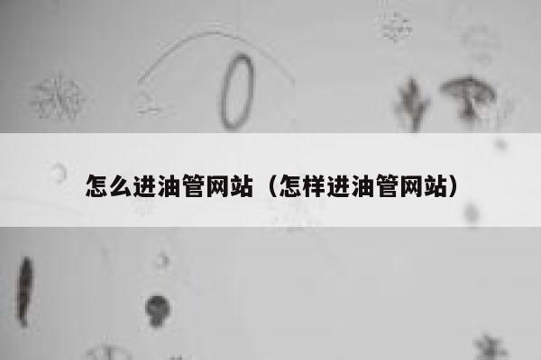 怎么进油管网站(怎样进油管网站) 第1张 怎么进油管网站(怎样进油管网站) 第1张