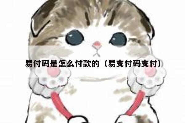 易付码是怎么付款的(易支付码支付) 第1张 易付码是怎么付款的(易支付码支付) 第1张