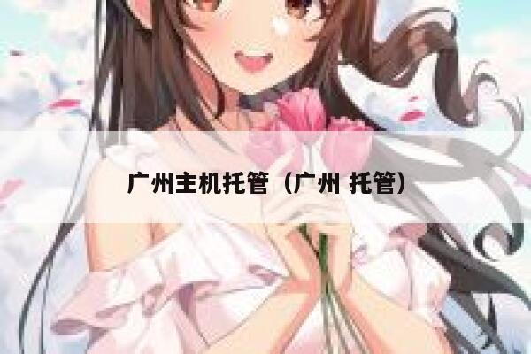 广州主机托管（广州 托管） 第1张