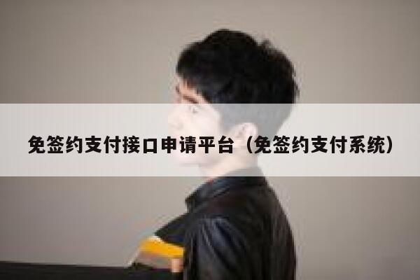 免签约支付接口申请平台（免签约支付系统） 第1张
