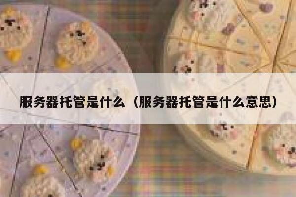 服务器托管是什么（服务器托管是什么意思） 第1张