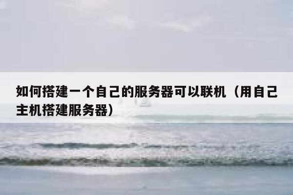 如何搭建一个自己的服务器可以联机（用自己主机搭建服务器） 第1张