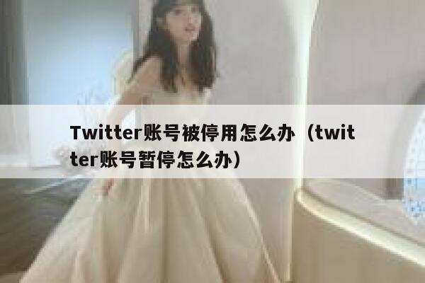 Twitter账号被停用怎么办(twitter账号暂停怎么办) 第1张 Twitter账号被停用怎么办(twitter账号暂停怎么办) 第1张