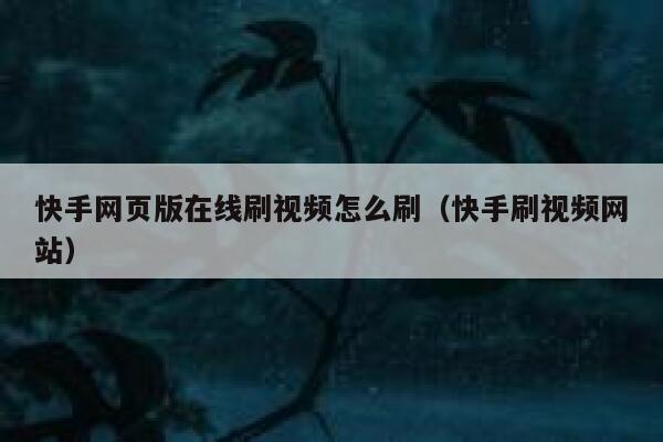 快手网页版在线刷视频怎么刷（快手刷视频网站） 第1张