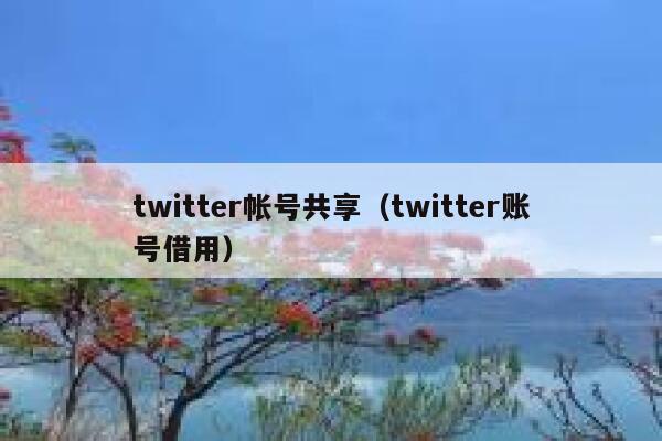 twitter帐号共享（twitter账号借用） 第1张