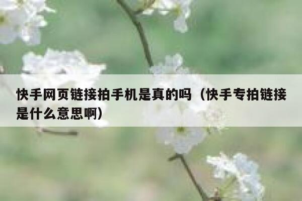 快手网页链接拍手机是真的吗（快手专拍链接是什么意思啊） 第1张