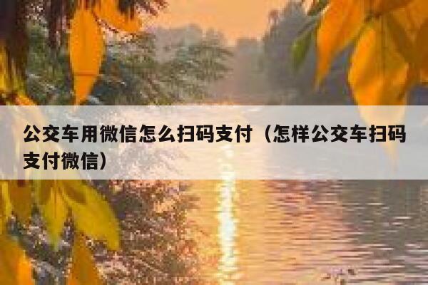 公交车用微信怎么扫码支付（怎样公交车扫码支付微信） 第1张