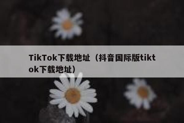 TikTok下载地址（抖音国际版tiktok下载地址） 第1张