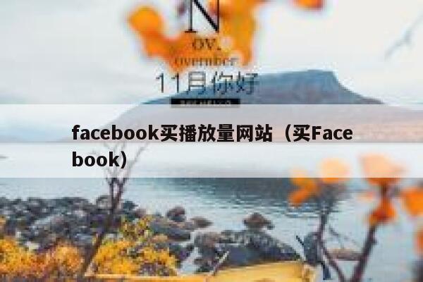 facebook买播放量网站（买Facebook） 第1张