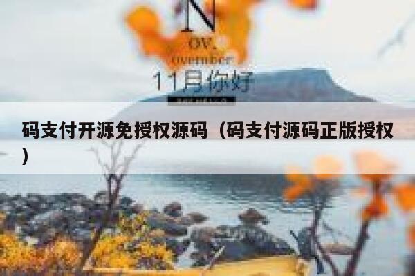 码支付开源免授权源码（码支付源码正版授权） 第1张