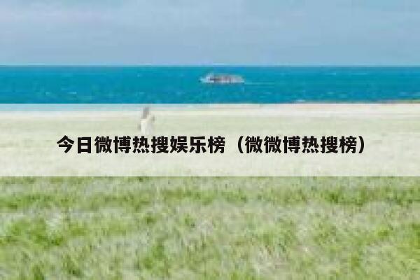 今日微博热搜娱乐榜（微微博热搜榜） 第1张