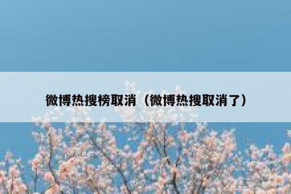 微博热搜榜取消（微博热搜取消了） 第1张