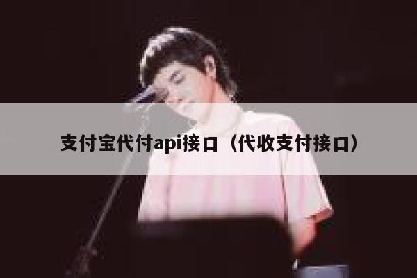 支付宝代付api接口（代收支付接口） 第1张
