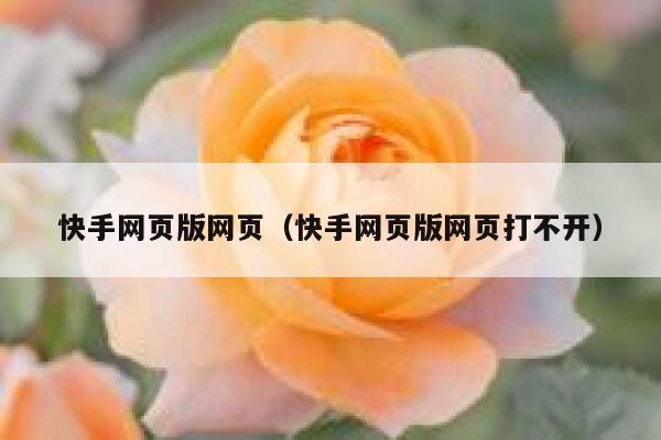 快手网页版网页（快手网页版网页打不开） 第1张