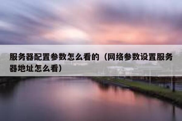 服务器配置参数怎么看的（网络参数设置服务器地址怎么看） 第1张