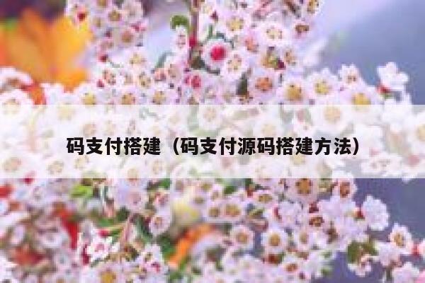 码支付搭建（码支付源码搭建方法） 第1张