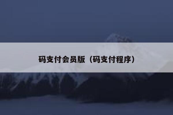 码支付会员版（码支付程序） 第1张