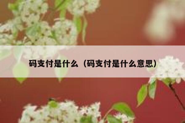 码支付是什么（码支付是什么意思） 第1张
