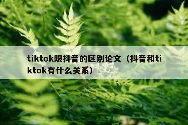 tiktok跟抖音的区别论文（抖音和tiktok有什么关系） 第1张