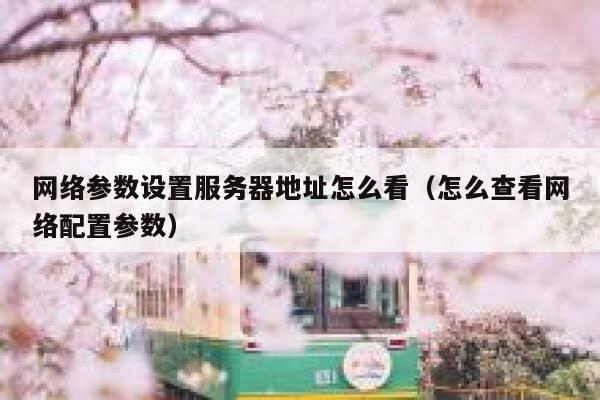 网络参数设置服务器地址怎么看（怎么查看网络配置参数） 第1张