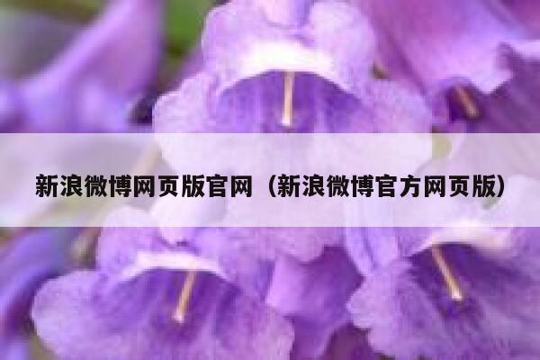 新浪微博网页版官网（新浪微博官方网页版） 第1张