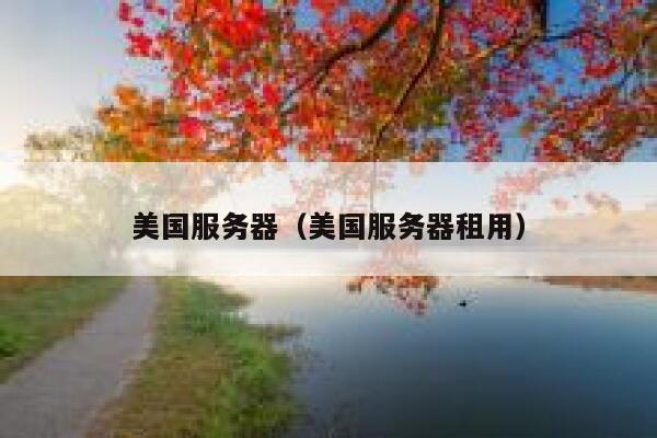 美国服务器（美国服务器租用） 第1张