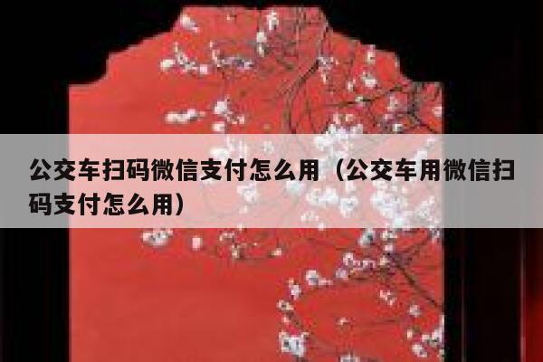 公交车扫码微信支付怎么用（公交车用微信扫码支付怎么用） 第1张
