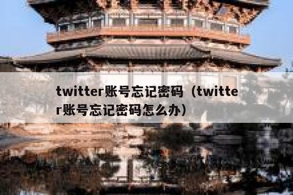 twitter账号忘记密码（twitter账号忘记密码怎么办） 第1张