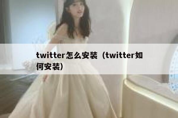 twitter怎么安装（twitter如何安装） 第1张