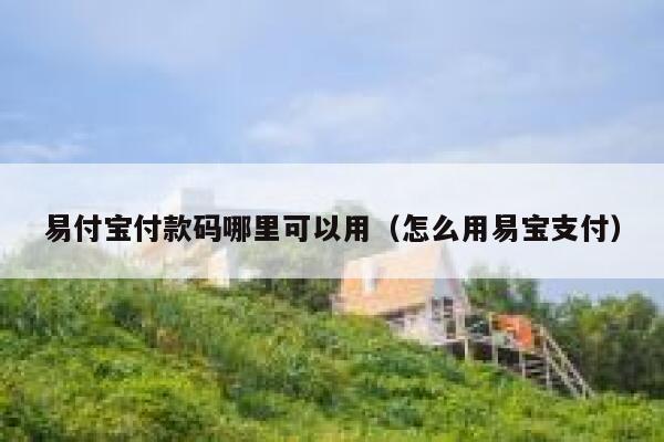 易付宝付款码哪里可以用（怎么用易宝支付） 第1张
