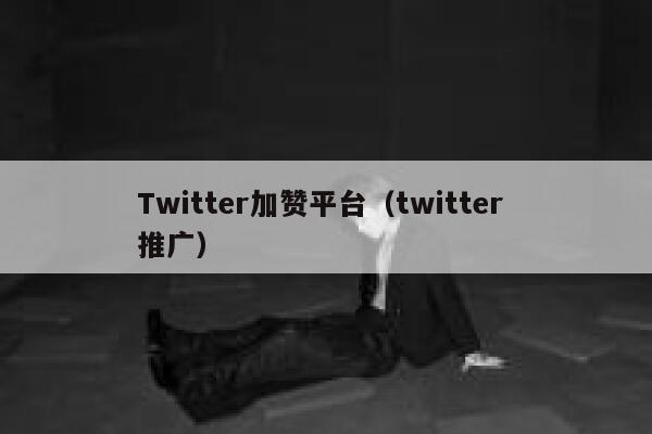 Twitter加赞平台（twitter 推广） 第1张