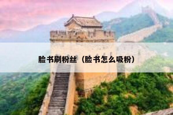 脸书刷粉丝（脸书怎么吸粉） 第1张