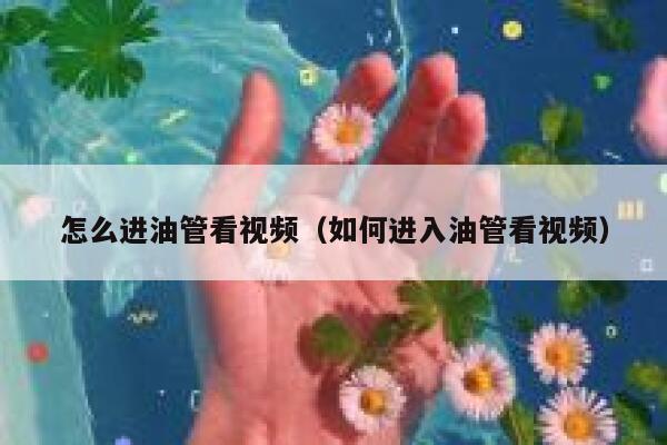 怎么进油管看视频（如何进入油管看视频） 第1张