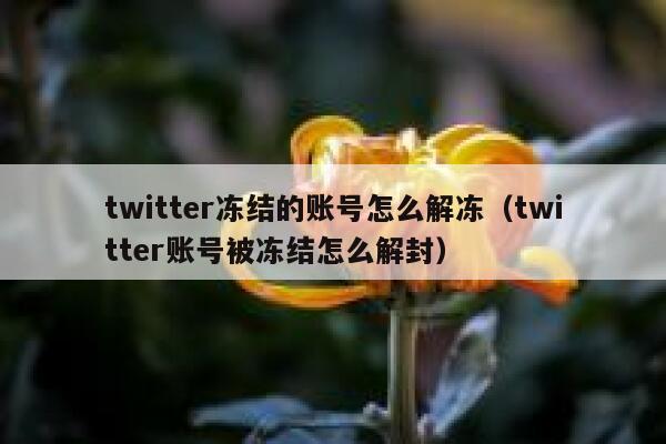 twitter冻结的账号怎么解冻（twitter账号被冻结怎么解封） 第1张