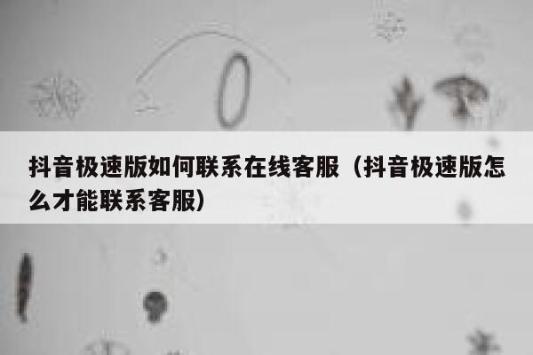 抖音极速版如何联系在线客服（抖音极速版怎么才能联系客服） 第1张