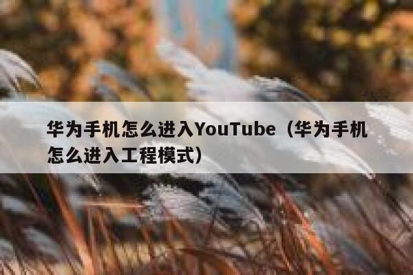 华为手机怎么进入YouTube（华为手机怎么进入工程模式） 第1张