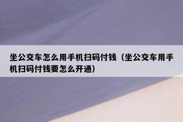 坐公交车怎么用手机扫码付钱（坐公交车用手机扫码付钱要怎么开通） 第1张